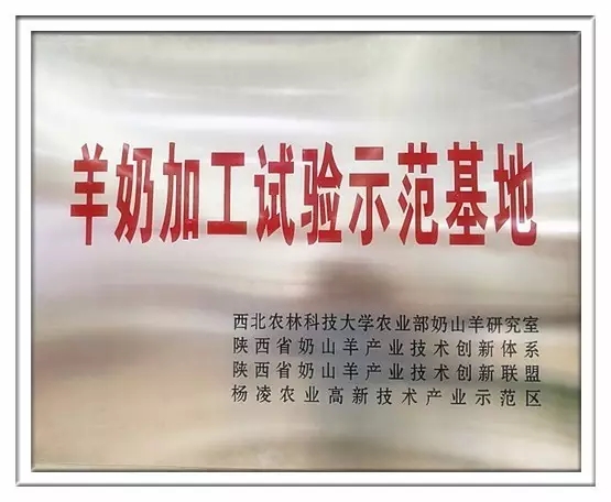 东升国际官网-相信品牌力量