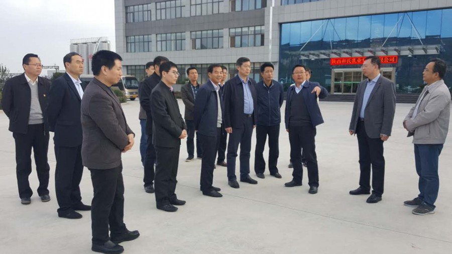 东升国际官网-相信品牌力量