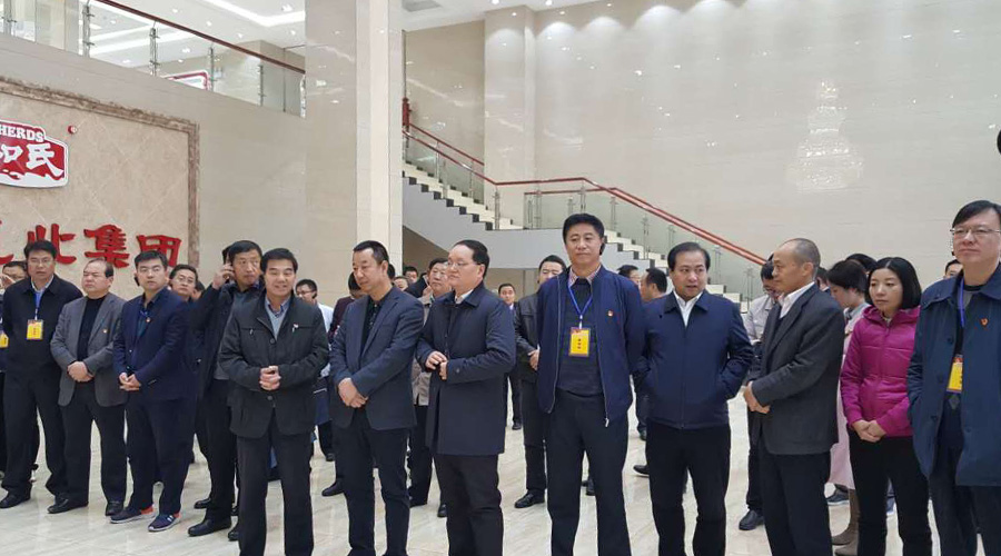 东升国际官网-相信品牌力量