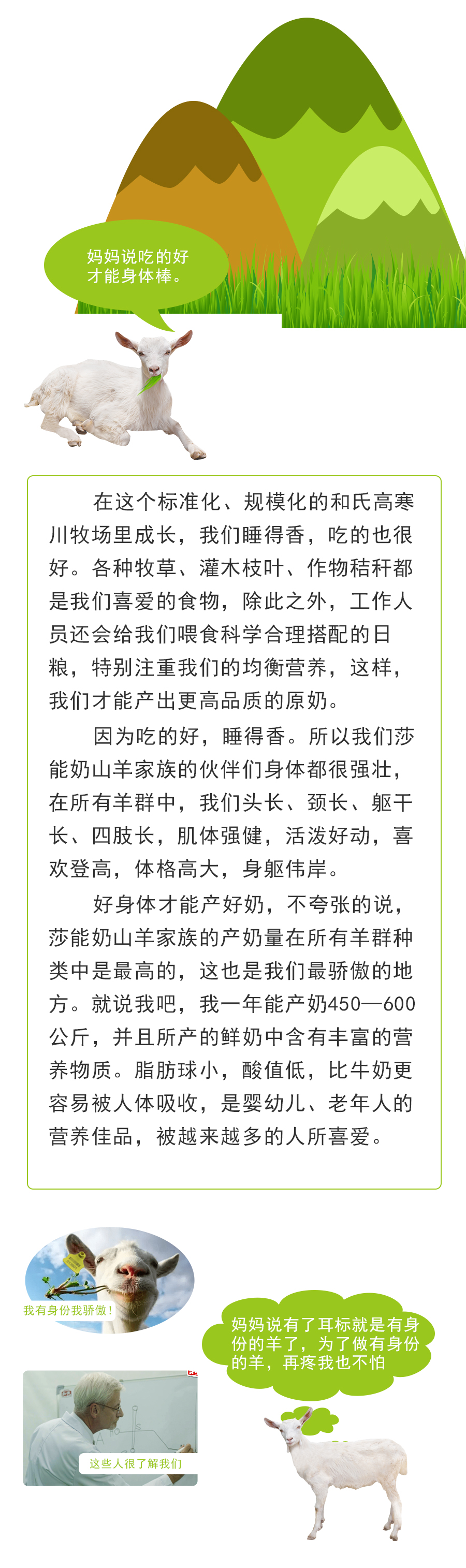 东升国际官网-相信品牌力量