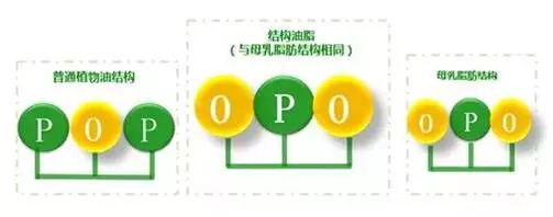 东升国际官网-相信品牌力量