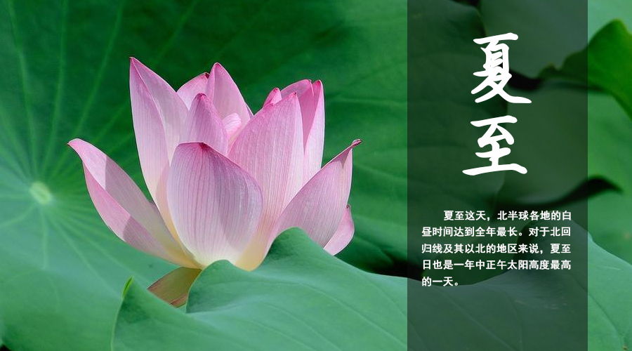 东升国际官网-相信品牌力量