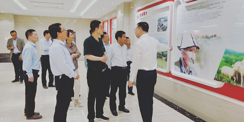 东升国际官网-相信品牌力量