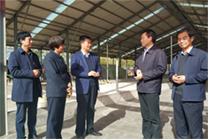 东升国际官网-相信品牌力量