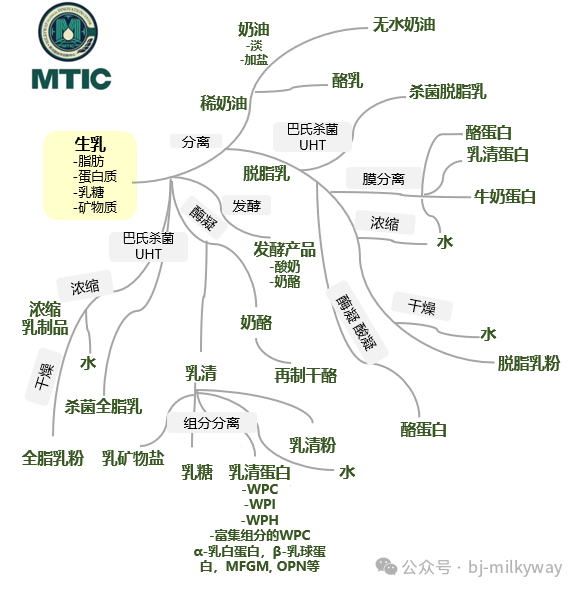 东升国际官网-相信品牌力量