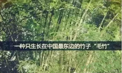 东升国际官网-相信品牌力量