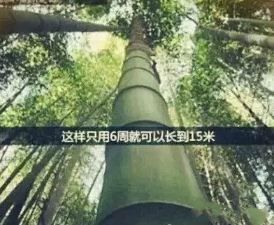 东升国际官网-相信品牌力量