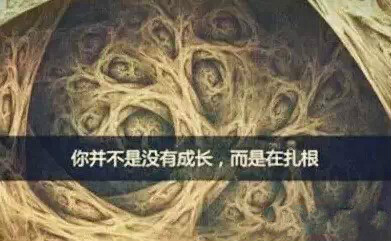 东升国际官网-相信品牌力量