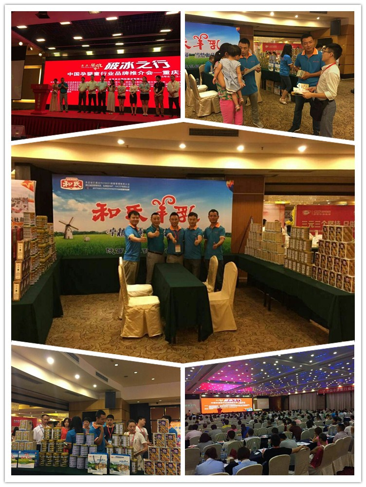 东升国际官网-相信品牌力量