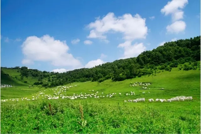 东升国际官网-相信品牌力量