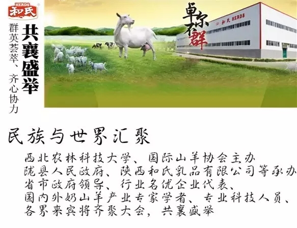 东升国际官网-相信品牌力量